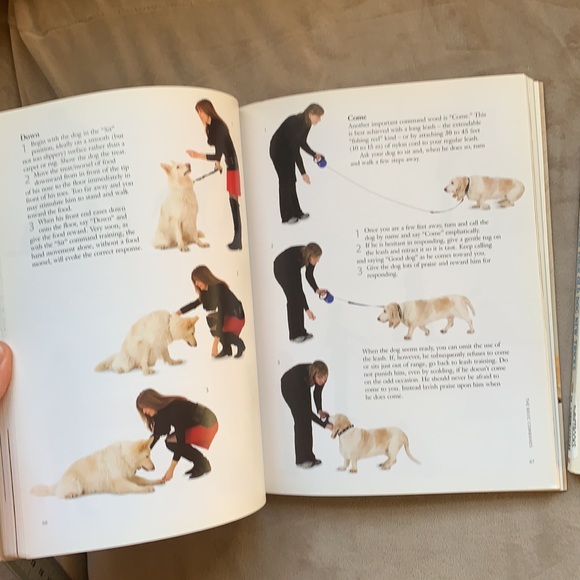 Old Dog, New Tricks By David Taylor and How to Teach Your Old Dog New Tricks - Picture 9 of 10